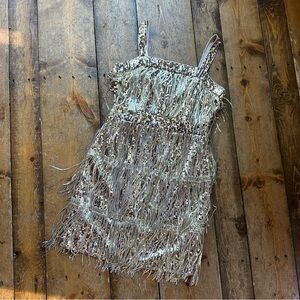 Sequin Fringe Dress